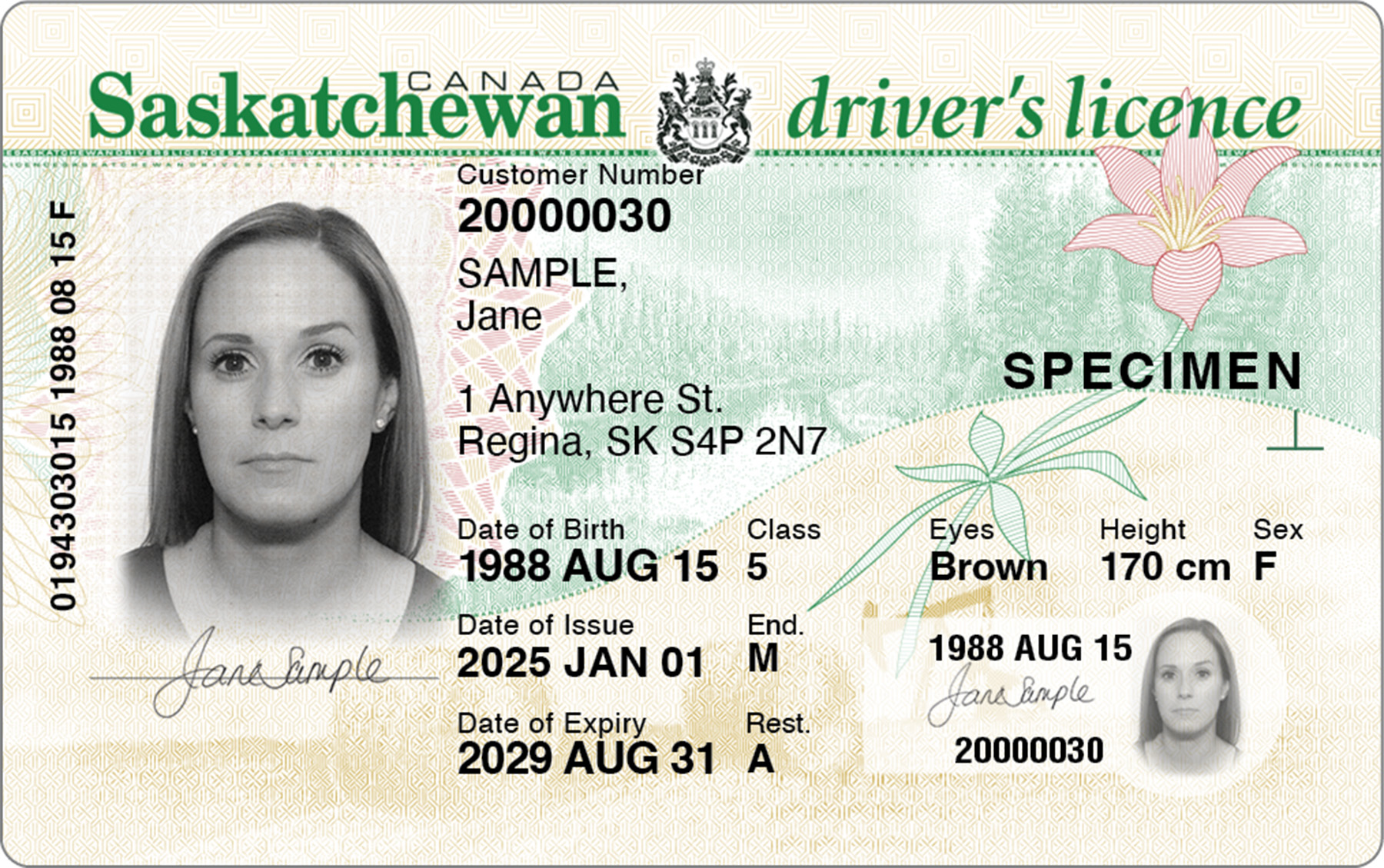 One-part driver's licence
